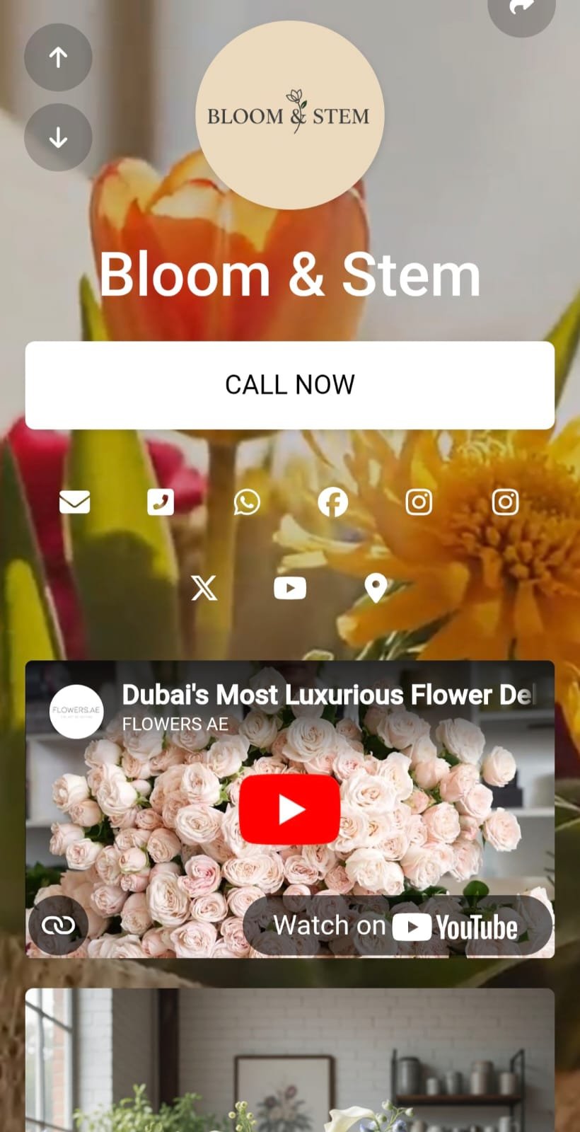 Bio Links